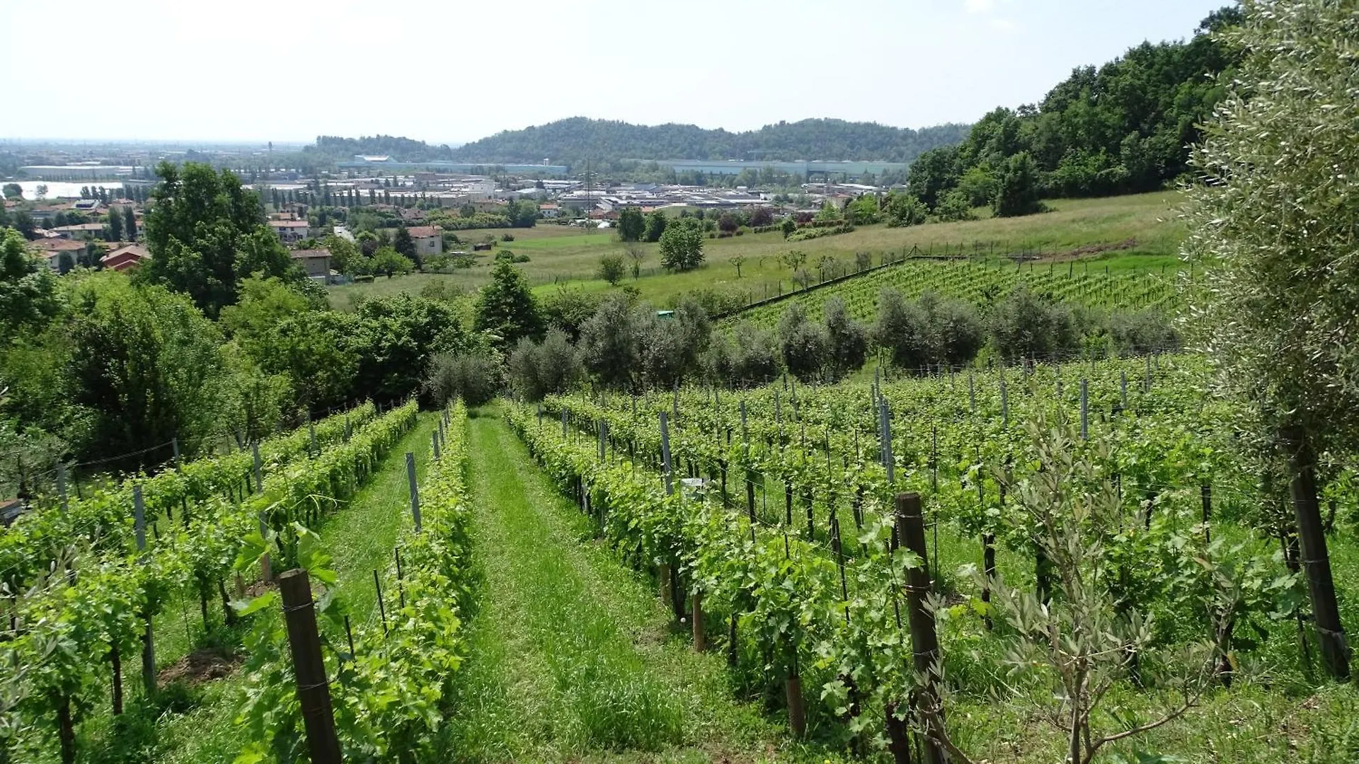 Agriturismo Ca Del Manenti San Paolo d'Argon Farm stay